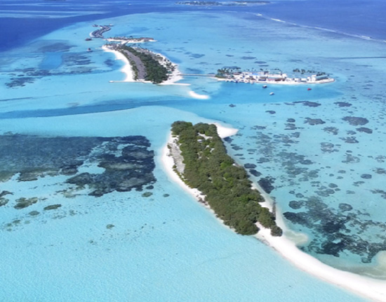 rasdhoo divers