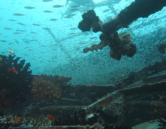 wreck diving maldives